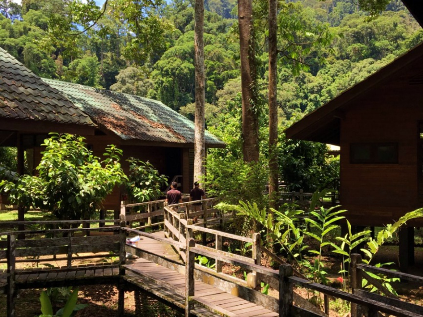 Borneo Rainforest Lodge